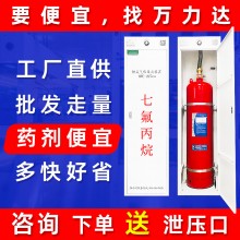 柜式七氟丙烷滅火器柜式七氟丙烷滅火裝置消防滅火器器材設備批發(fā)